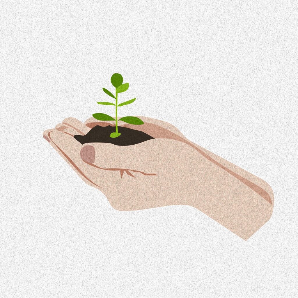 grow-9524787_1280 Author BiancaVanDijk Pixabay
